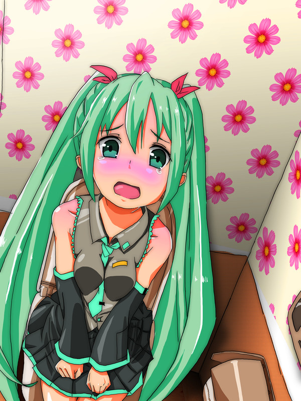 ミクさん