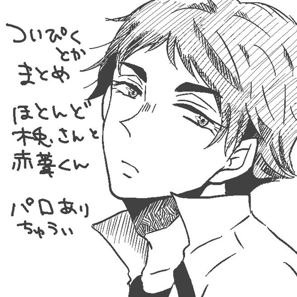 ついぴくまとめ