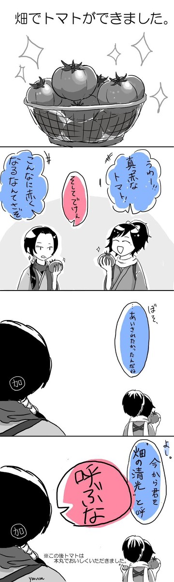 沖田組とトマト
