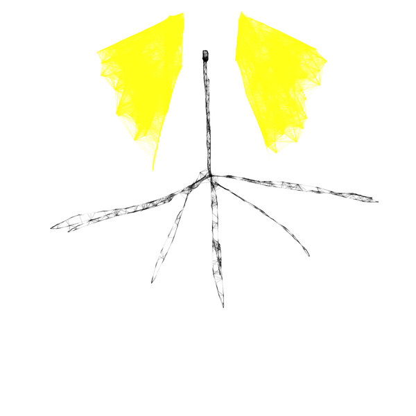 路