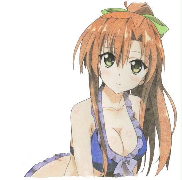 【色鉛筆模写】伊万里ちゃん 製作工程