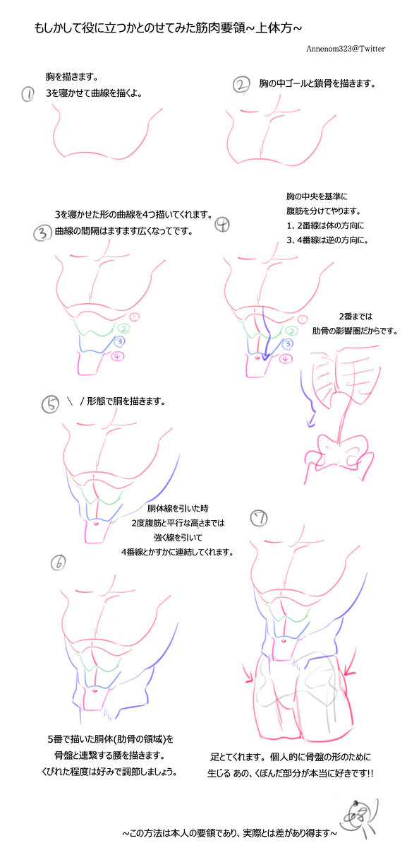 上体筋肉を描くこと