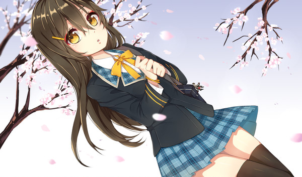[ELSWORD] Ara