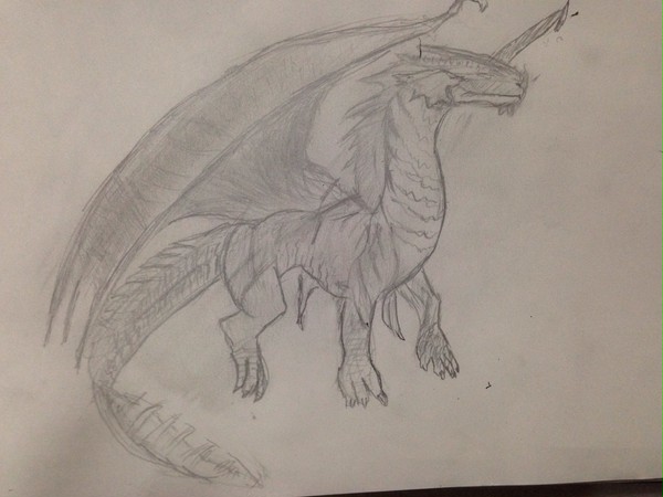 模写