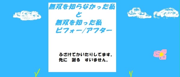 ＊無双を知らなかった私　と　知った私　ビフォーアフター＊