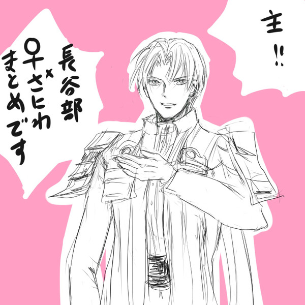 へし切長谷部×女審神者