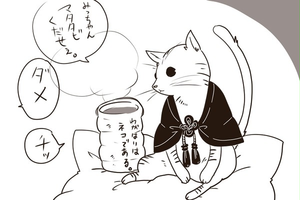 猫審神者と刀剣