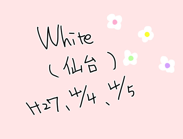 ＷＨＩＴＥ　２７０４０４　２７０４０５