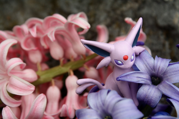 Eeveelutions in Bloom