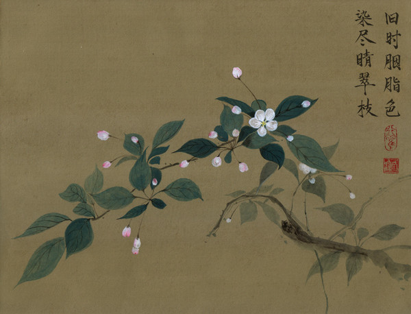 樱