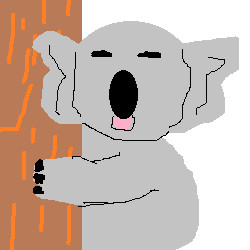 コアラ
