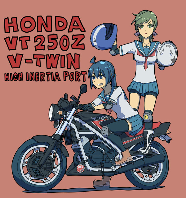 VT250Z