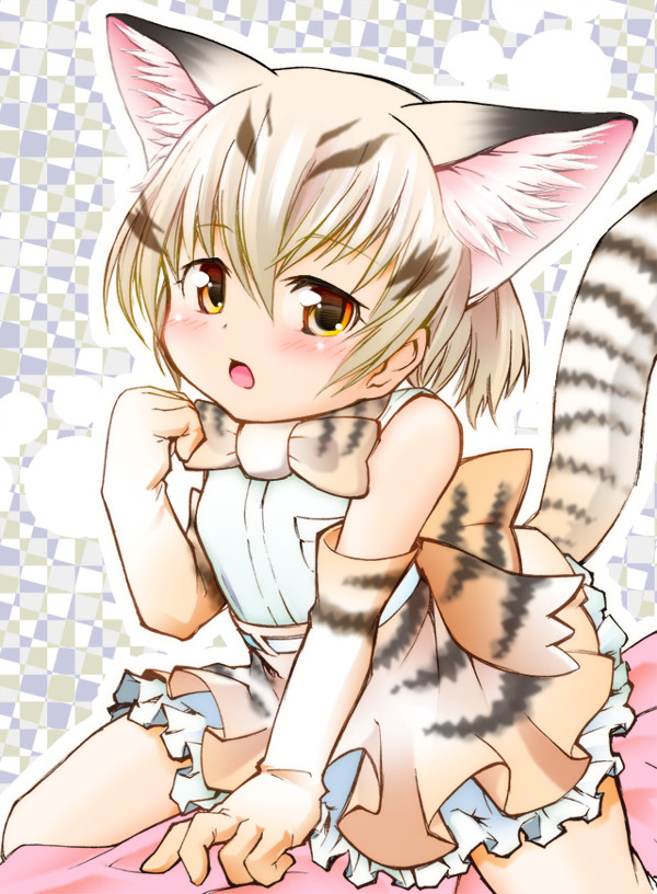 スナネコ