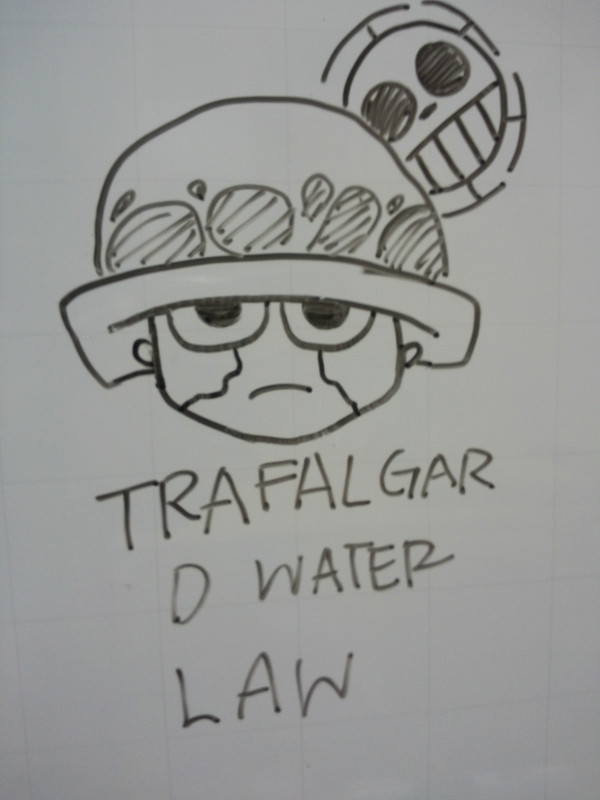 trafalgar law