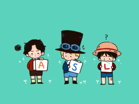 ONEPIECE 8 (A)