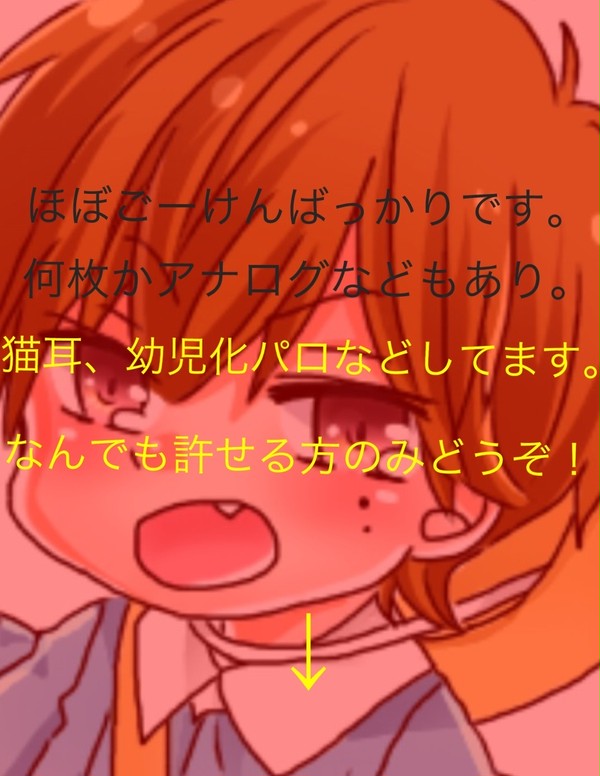 いろいろつめ