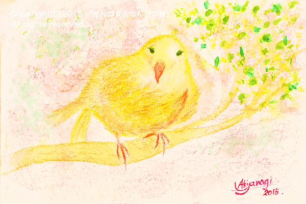 黄昏のカナリア