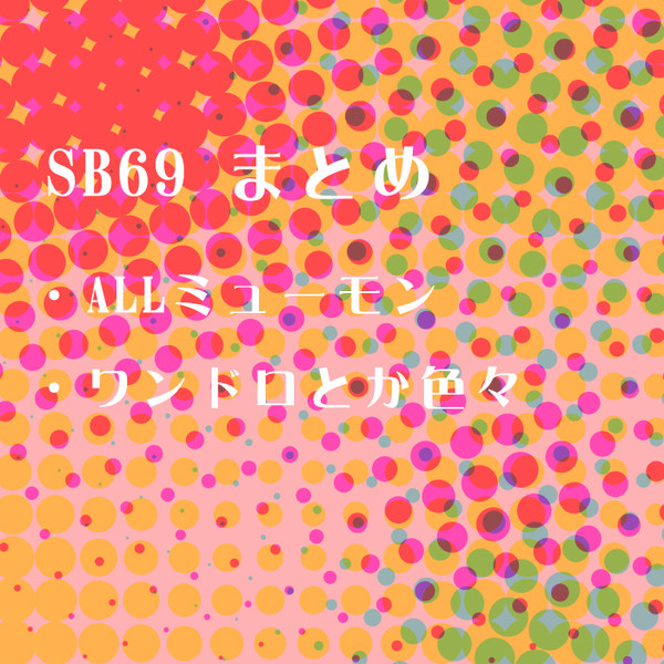 SB69詰め