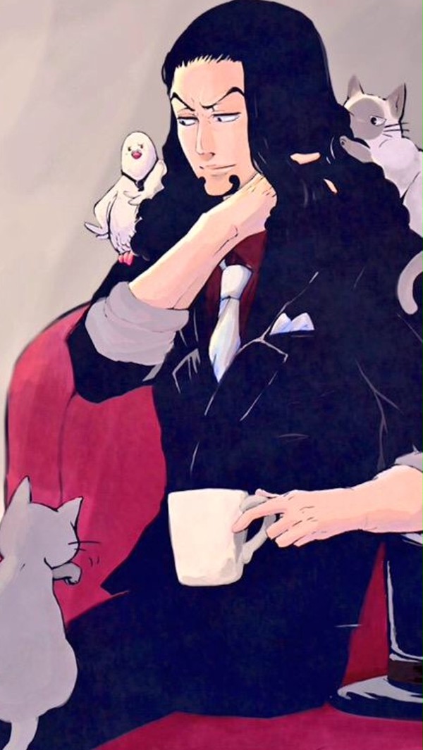 ルッチと猫