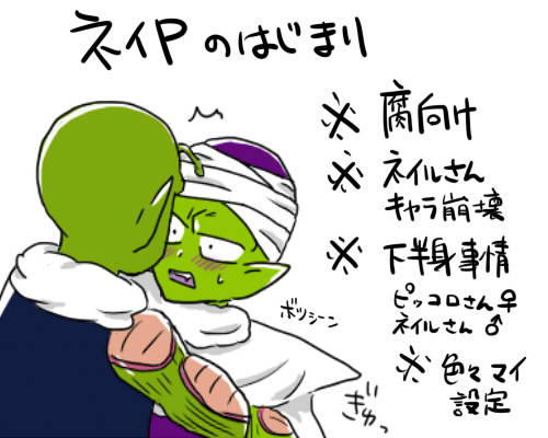 【腐】はじまりのはなし【ネイP】