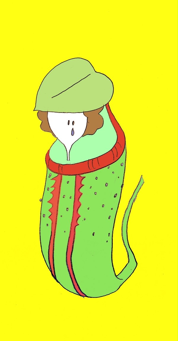 ウツボカズラ