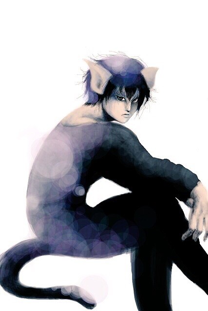 猫