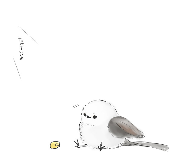 シマエナガ