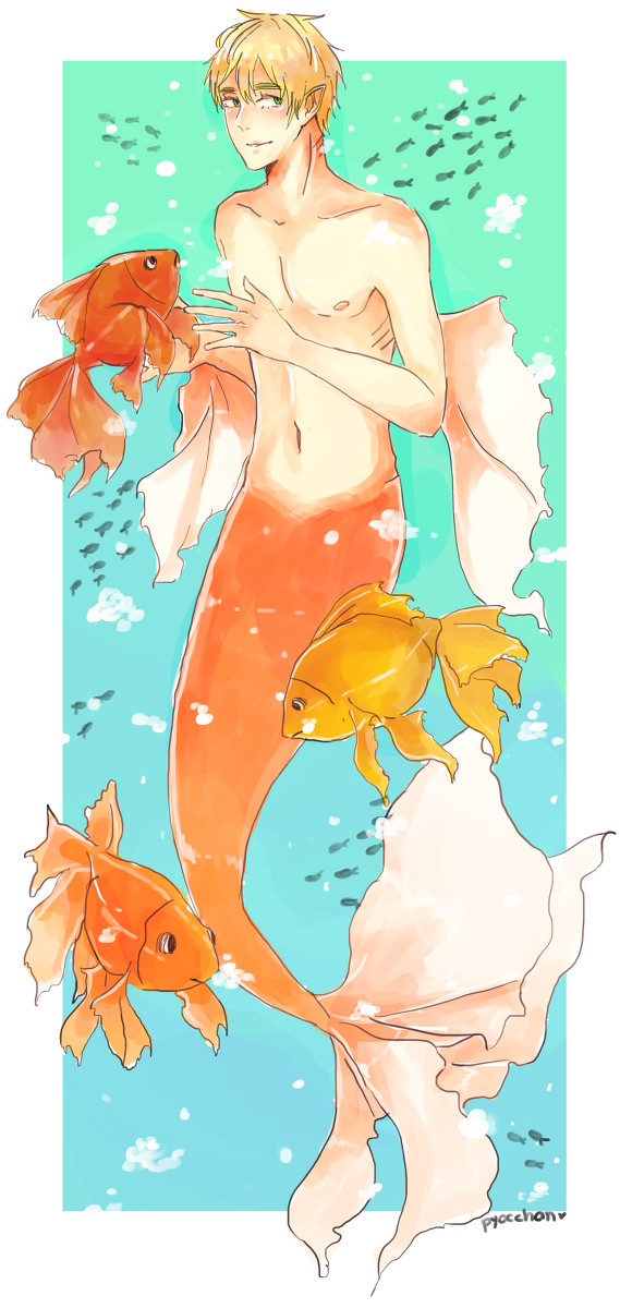 Goldfish Artie