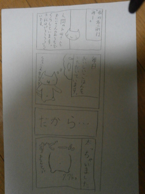 みーちゃん。