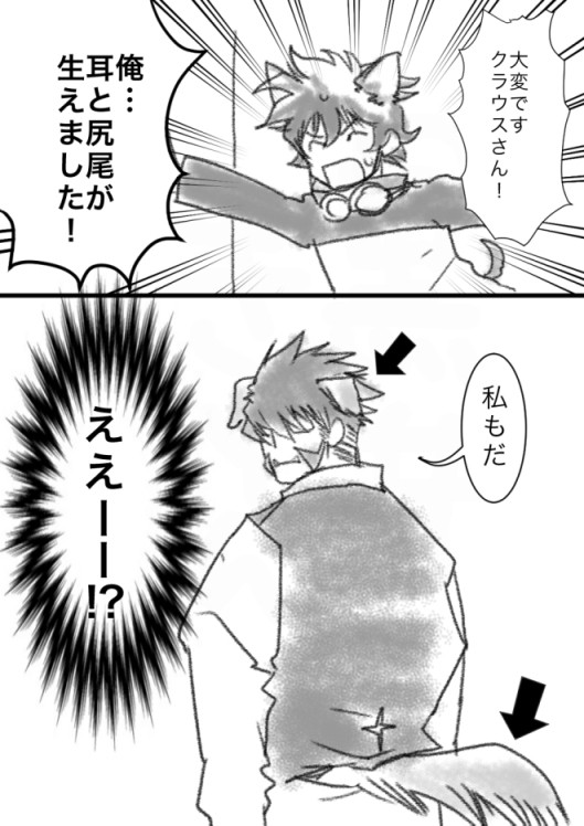 けもみみ戦線