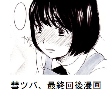 彗ツバ、最終回後漫画