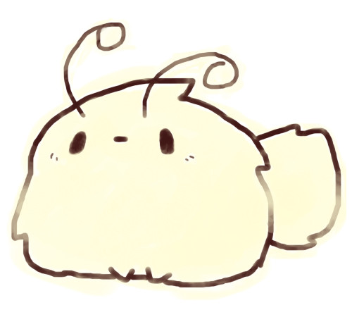 久しぶりに