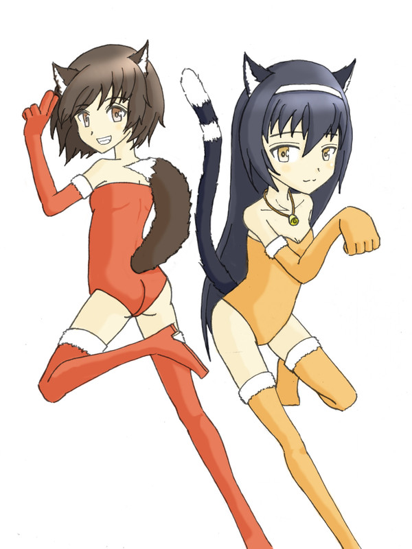 猫と犬