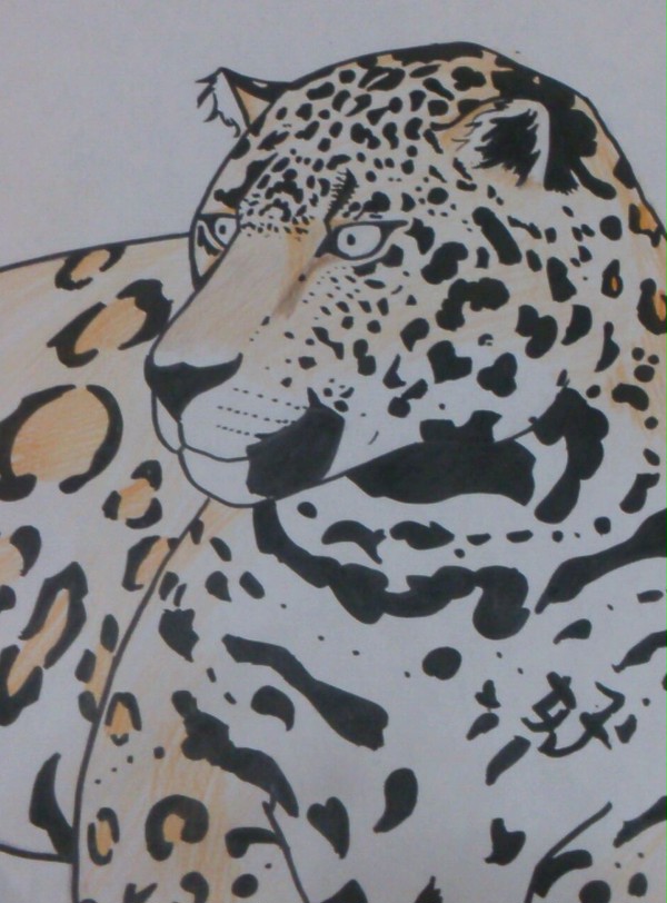 ジャガー