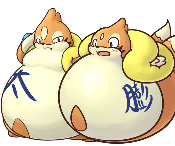 太＆膨