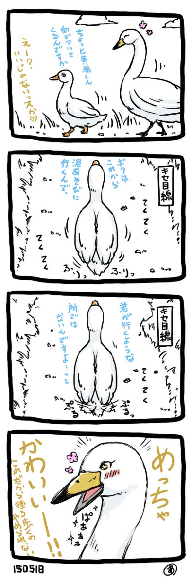 【黄黒】白鳥瀬とアヒルっち①