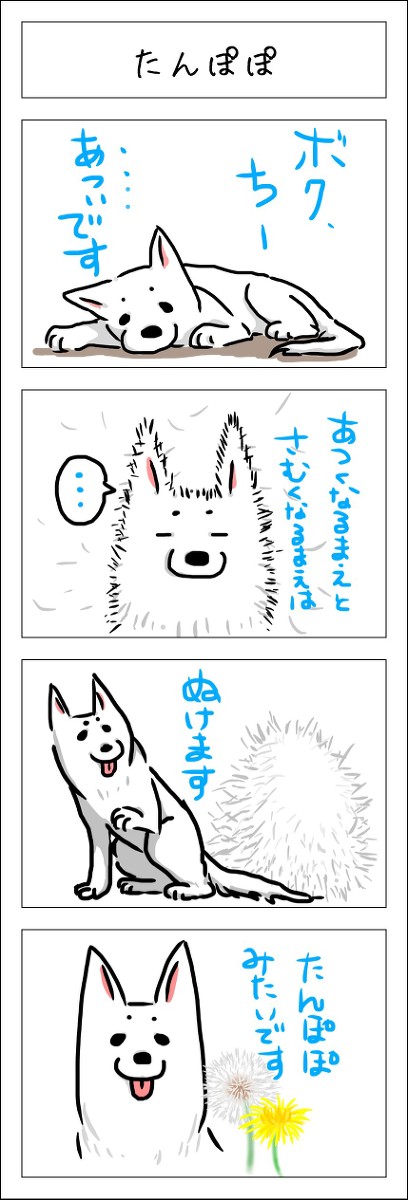 ボク、しぇぱーど⑤