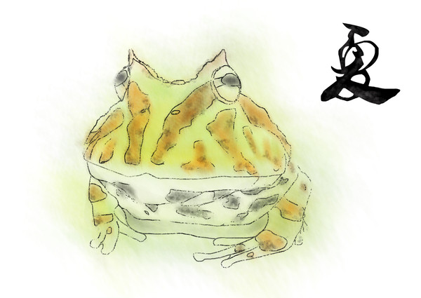 角蛙