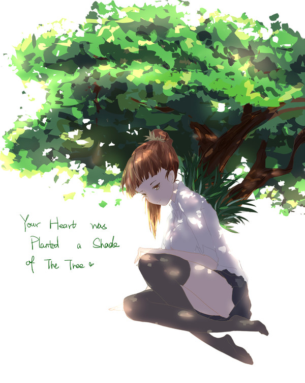 a shade of the tree