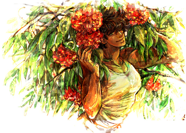 Rose of Venezuela