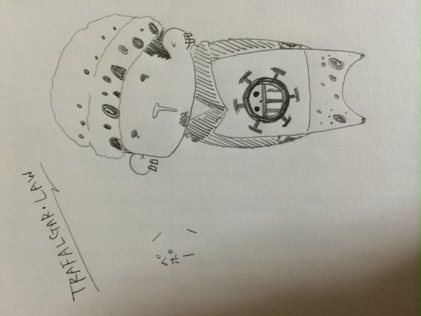 アナログ ONE PIECE ロー