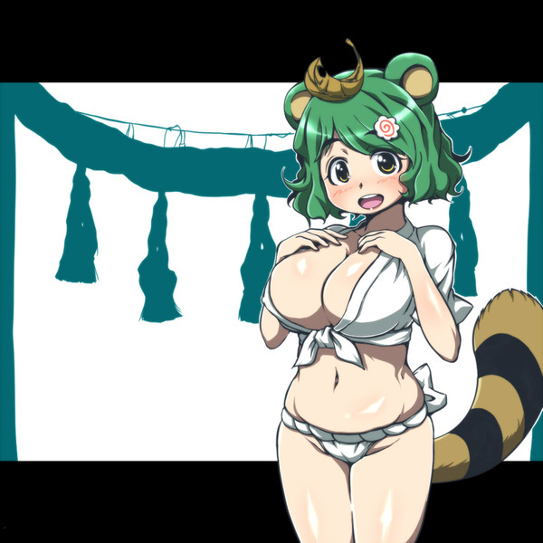ぽちゃフウリ