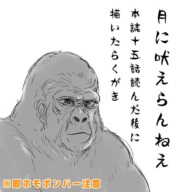 15話感想らくがき