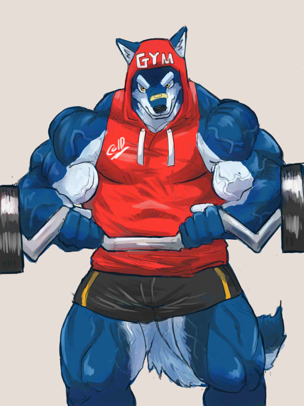 Gym wolf