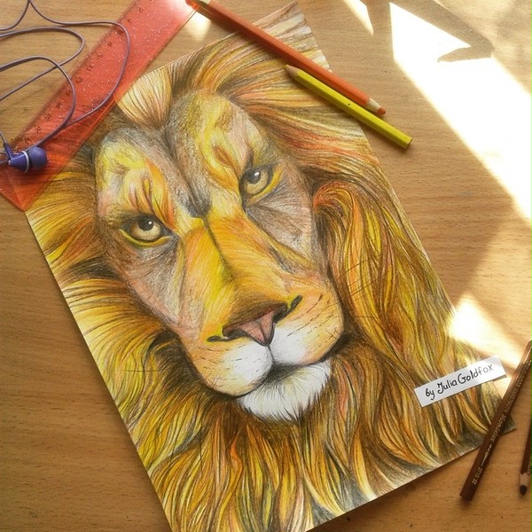 lion