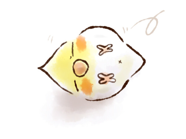 だるー（他