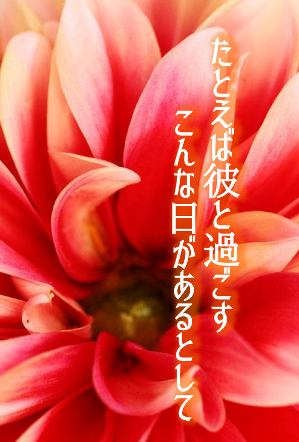 【右んば】『たとえば彼と過ごすこんな日があるとして』本文サンプル