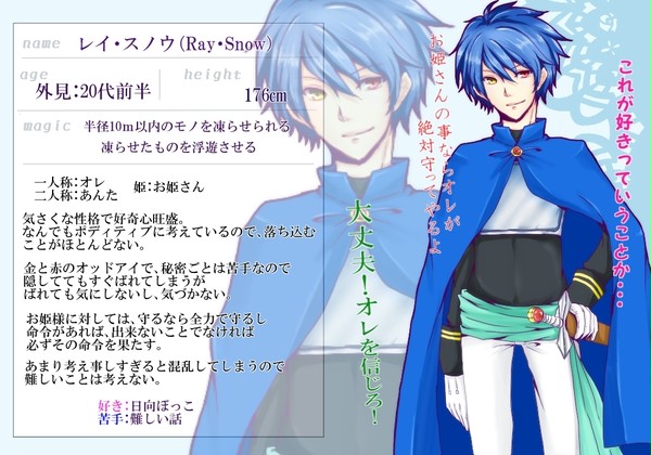 【騎士姫】レイ【騎士】