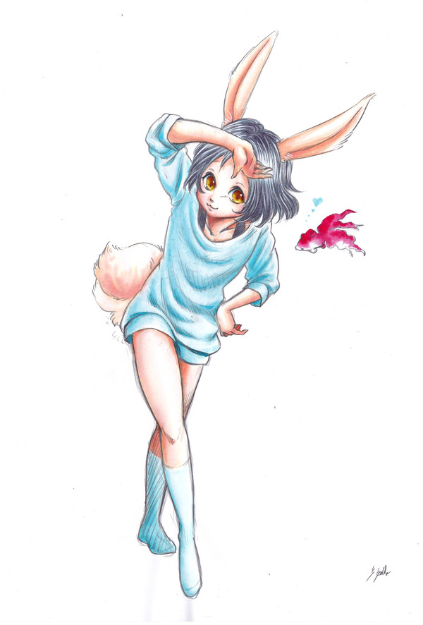 夏うさぎ