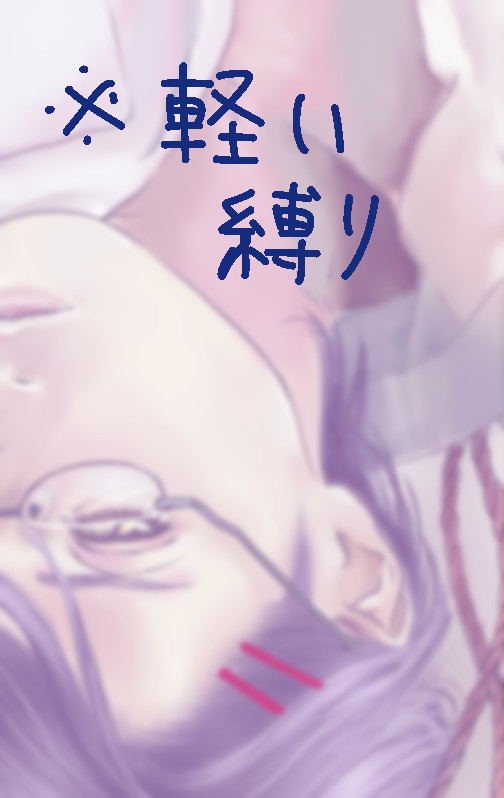 やってみたかった